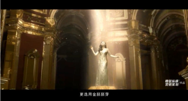 长寿花品牌升值蜕变背后 精锐纵横的升值营销策划密码